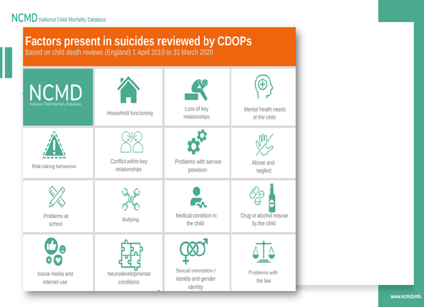 factors present in suicides (CDOPs)